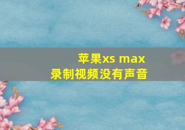 苹果xs max录制视频没有声音